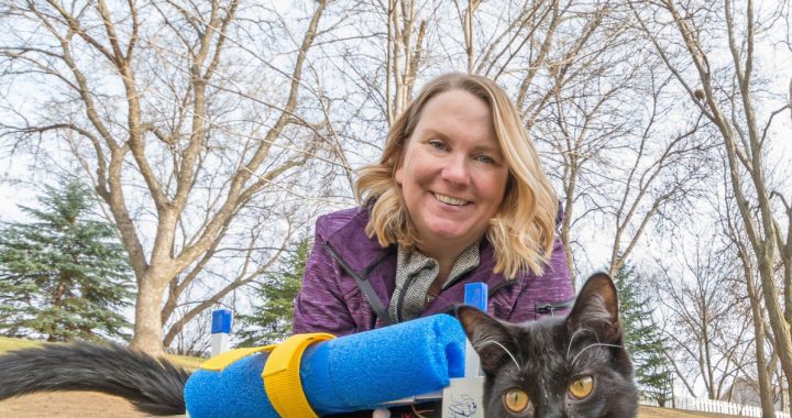 Plymouth woman helps cats with disabilities have happy lives